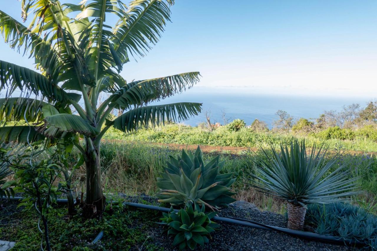 Hrlos Piratas - Ferien Haus La Palma - Good Wlan !! ติคาราเฟ ภายนอก รูปภาพ
