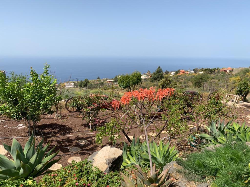Hrlos Piratas - Ferien Haus La Palma - Good Wlan !! ติคาราเฟ ภายนอก รูปภาพ